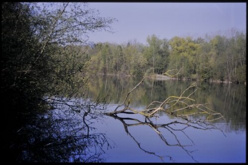 [Altach, Alter Rhein]