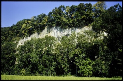 [Koblach, Rheinbalmen]