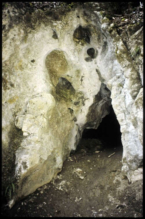 [Götzis, Örflaschlucht]