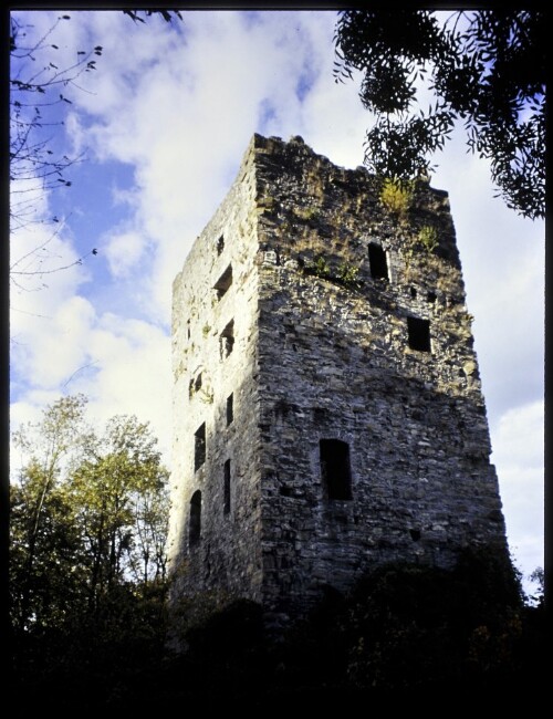 [Götzis, Ruine Neumontfort]