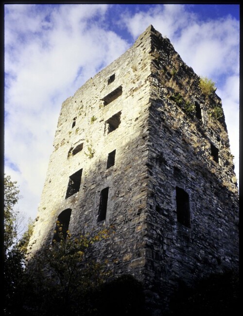 [Götzis, Ruine Neumontfort]