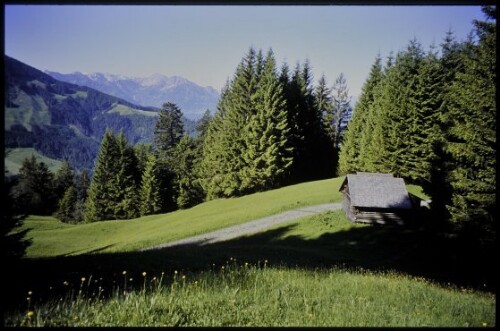 [Zwischenwasser, zwischen Bingadels und Alpwegkopf]