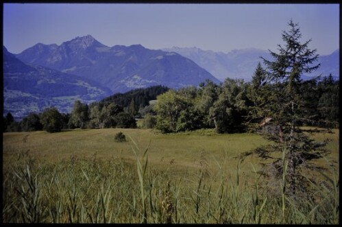 [Übersaxen, Hangmoor Tiefenbach]