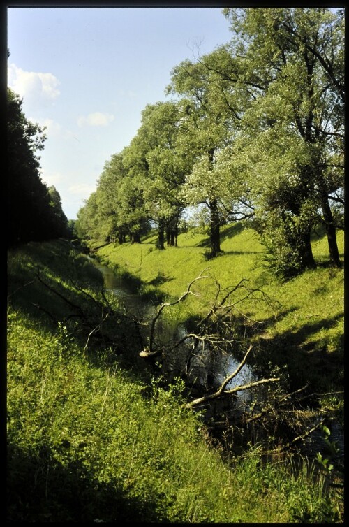 [Feldkirch, Spiersbach bei Bangs]