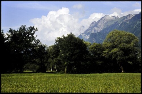 [Feldkirch, Matschels]