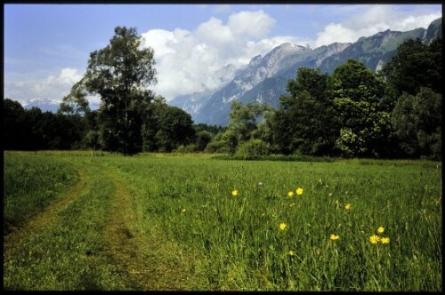[Feldkirch, Matschels]