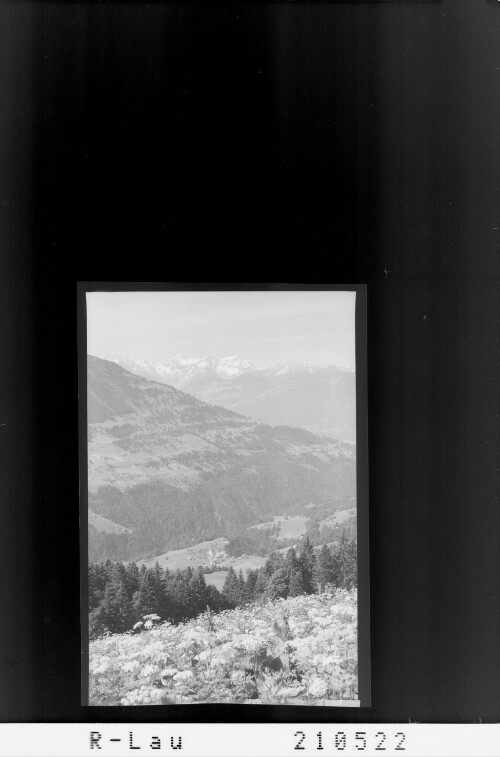 Blons mit Schesaplana, Vorarlberg : [Blons im Grossen Walsertal mit Blick zur Scesaplana und Panüler]