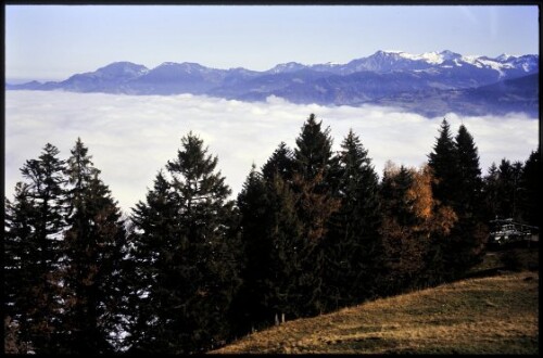 [Frastanz, Blick von Amerlugalpe auf Rheintalnebel]