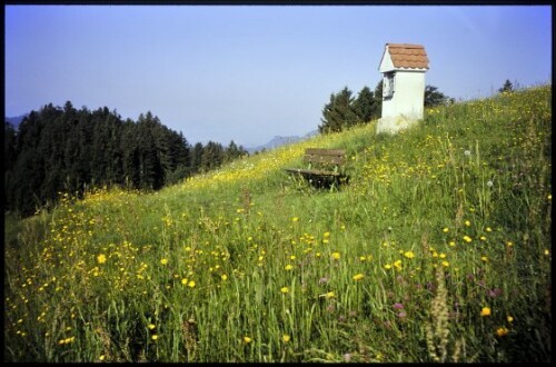 [Doren, zwischen Hochstadel und Sulzberg]