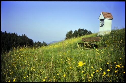 [Doren, zwischen Hochstadel und Sulzberg]