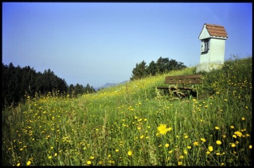 [Doren, zwischen Hochstadel und Sulzberg]