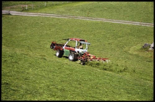 [Doren, Maimahd Hüttersberg]