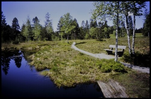 [Sulzberg, Torfstichweiher Wildrosenmoos]