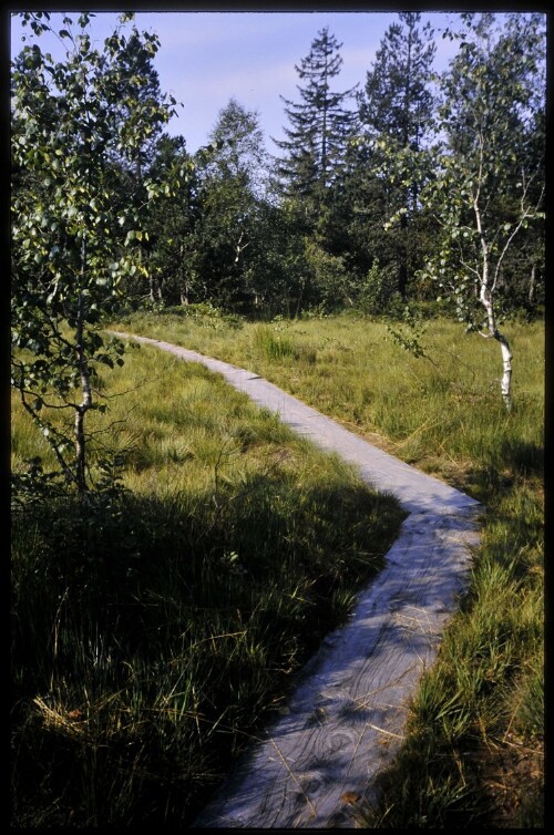 [Sulzberg, Torfstichweiher Wildrosenmoos]