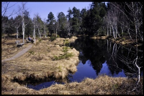 [Sulzberg, Torfstichweiher Wildrosenmoos]