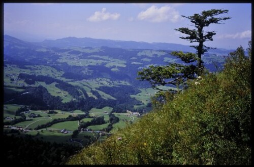 [Riefensberg, Blick vom Kojenstein]