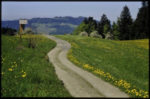 [Langenegg, Blick vom Schweizberg zum Brüggelekopf]