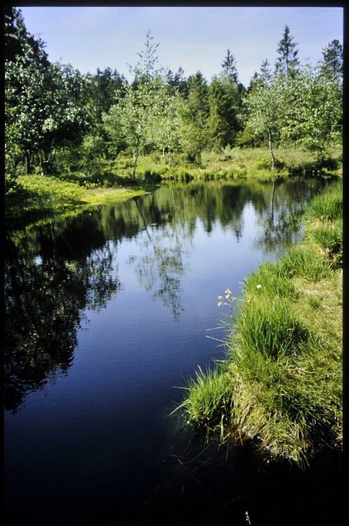 [Langenegg, Moorlandschaft Nord]