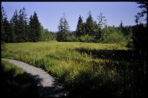 [Langenegg, Moorlandschaft Nord]