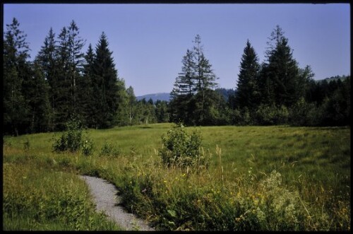[Langenegg, Moorlandschaft Nord]