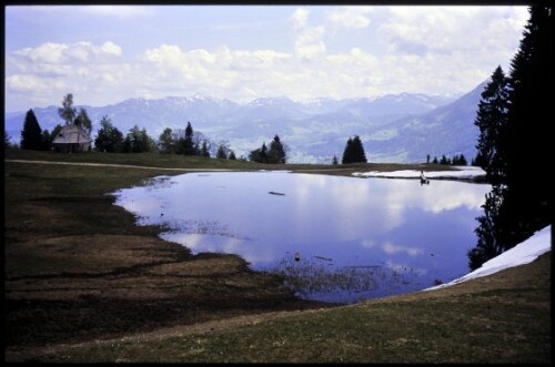 [Schwarzenberg, Älpele-Weiher]