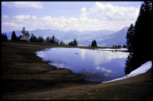 [Schwarzenberg, Älpele-Weiher]