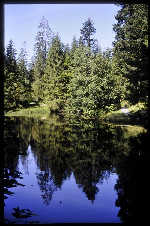 [Schwarzenberg, Bödelesee]