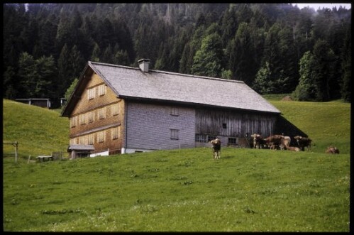 [Schwarzenberg, Spitalalpe]