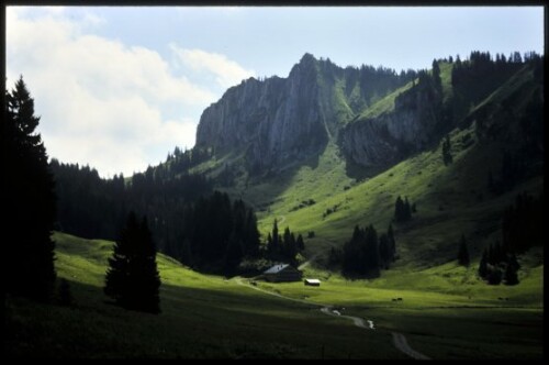 [Bezau, Schreiberealpe]