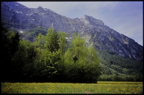 [Mellau-Schnepfau am Fuße d. Kanisfluh]