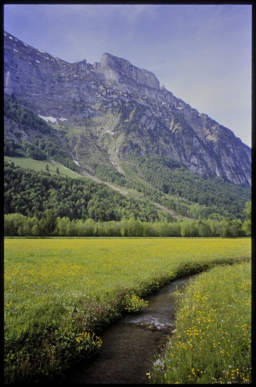 [Mellau-Schnepfau am Fuße d. Kanisfluh]