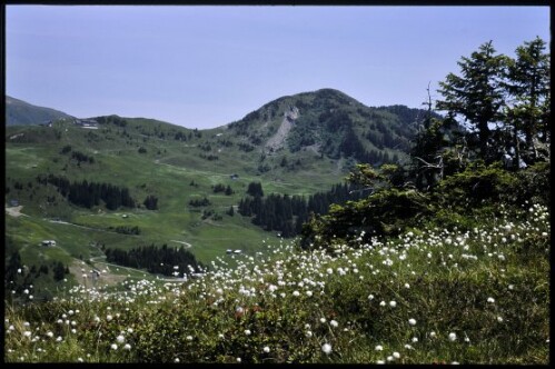 [Damüls, Elsenkopf von Sieben Hügeln aus]