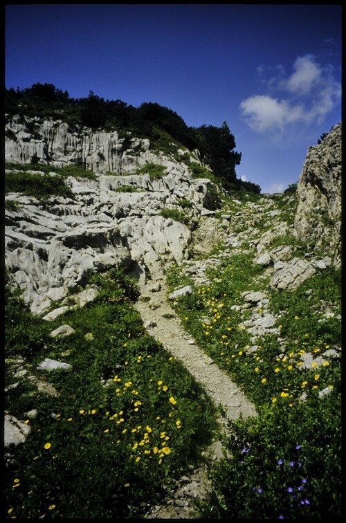 [Mittelberg, Gottesacker]