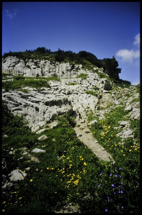 [Mittelberg, Gottesacker]