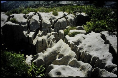 [Mittelberg, Gottesacker Karst]