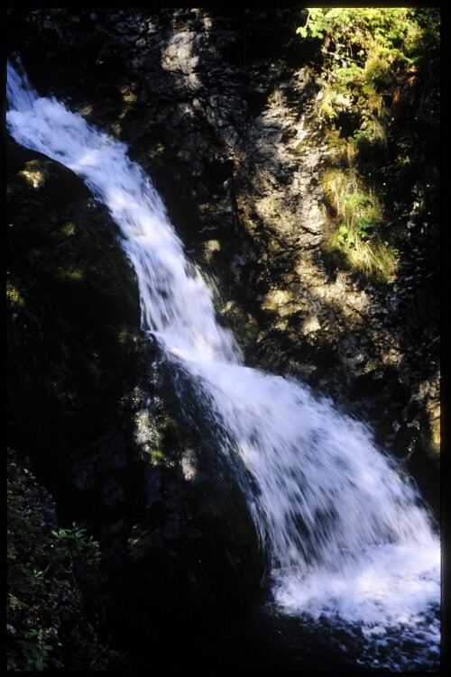 [Mittelberg, Schwarzwasserbach Wäldele]