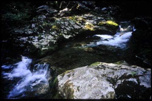 [Mittelberg, Schwarzwasserbach]