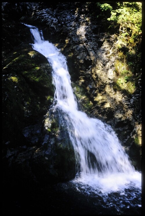 [Mittelberg, Schwarzwasserbach]