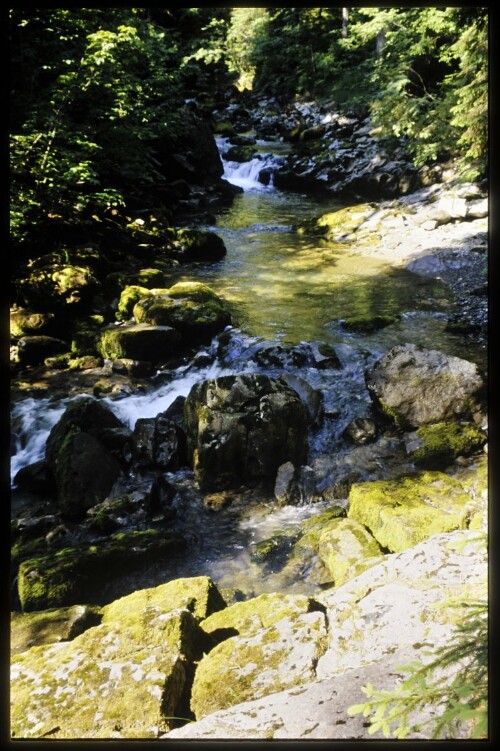 [Mittelberg, Schwarzwassertal mit Aubach]