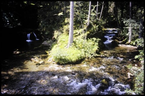 [Mittelberg, Schwarzwasserbach und Aubach]