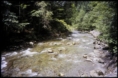 [Mittelberg, Schwarzwasserbach Unterlauf]