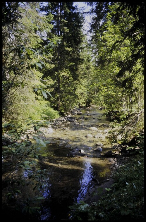 [Mittelberg,Schwarzwasserbach]