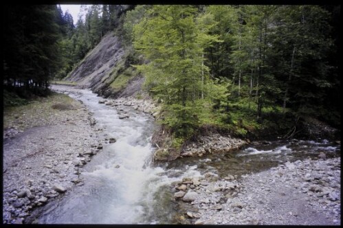 [Mittelberg, Breitach mit Schwarzwasserbach]