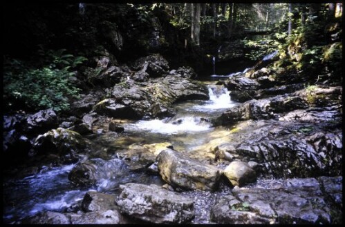 [Mittelberg, Schwarzwasserbach]