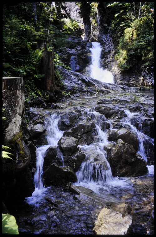 [Mittelberg, Schwarzwasserbach]