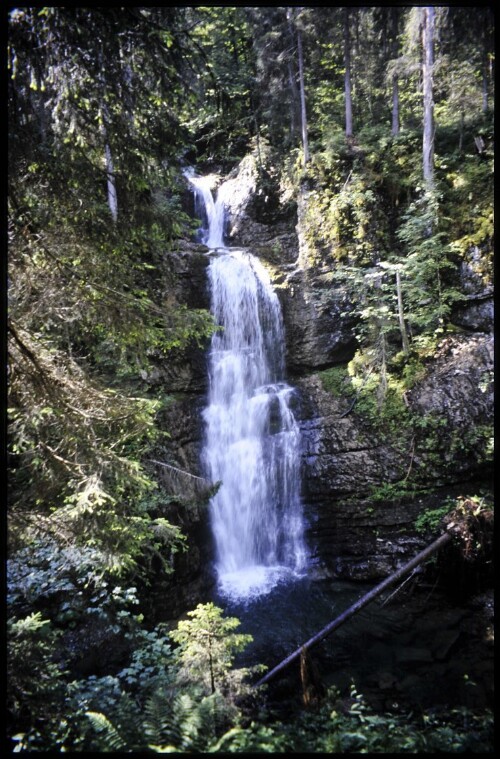 [Mittelberg, Schwarzwasserbach]