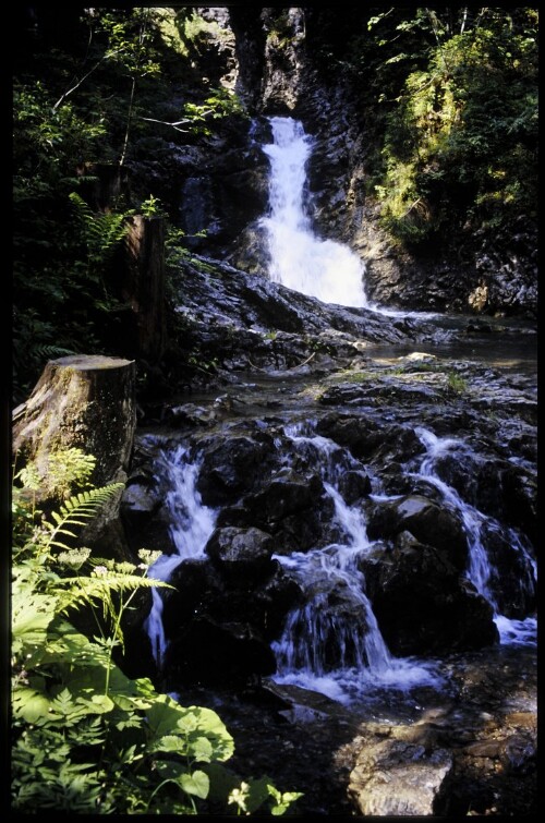 [Mittelberg, Schwarzwasserbach]