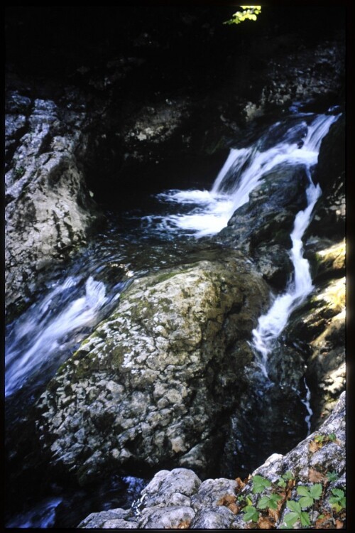 [Mittelberg, Schwarzwasserbach]