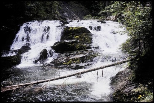 [Mittelberg, Schwarzwasserbach]