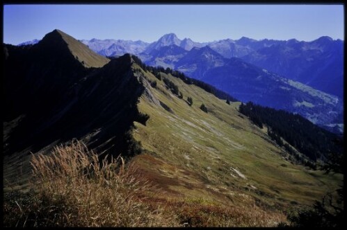 [St. Gerold, Ausblick Gerenspitze]